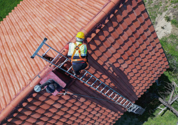 Best Asphalt Shingles Roofing  in USA